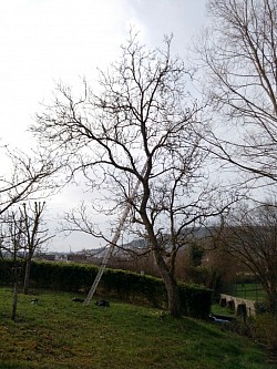 Noyé qui prenait de l'ampleure et avez une grosse prise au vent